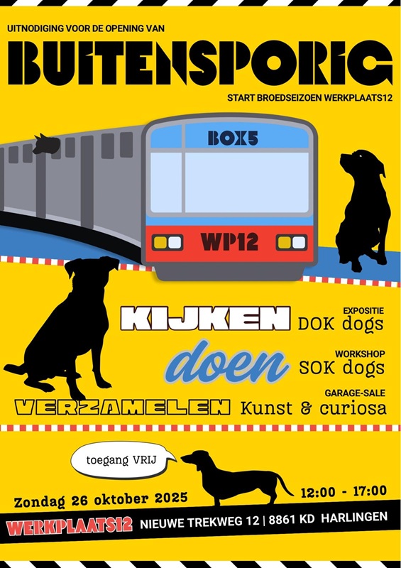 Box Buitensporig